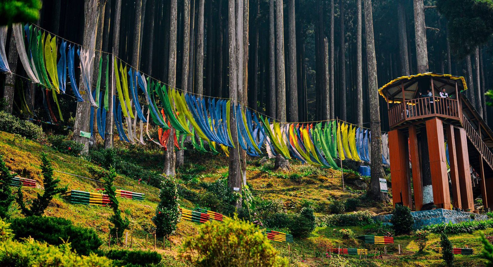 Peaceful view of Lamahatta village near Darjeeling, featuring pine forests, prayer flags, and panoramic Himalayan mountain scenery.